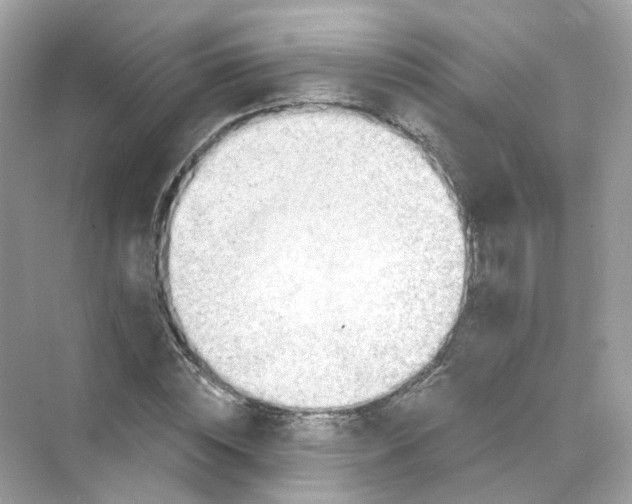 X0000069810828200606091832