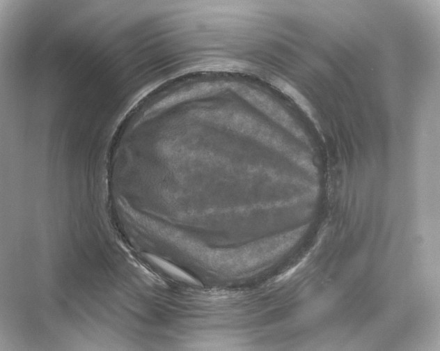 X0000069810829200606091832