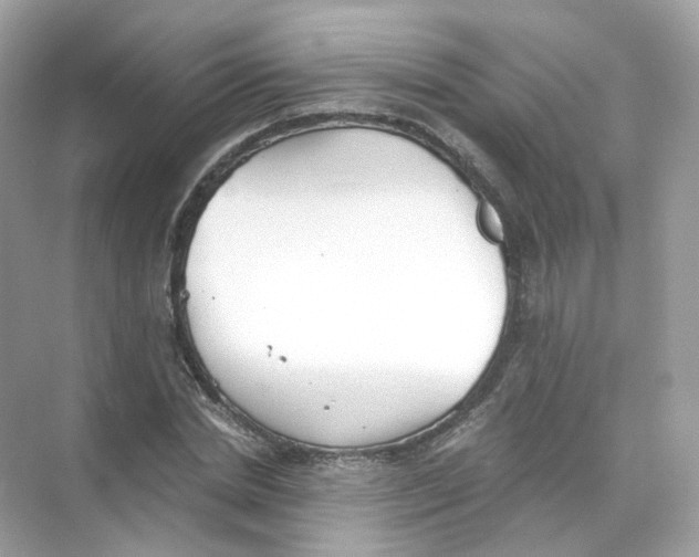 X0000069810830200606091832