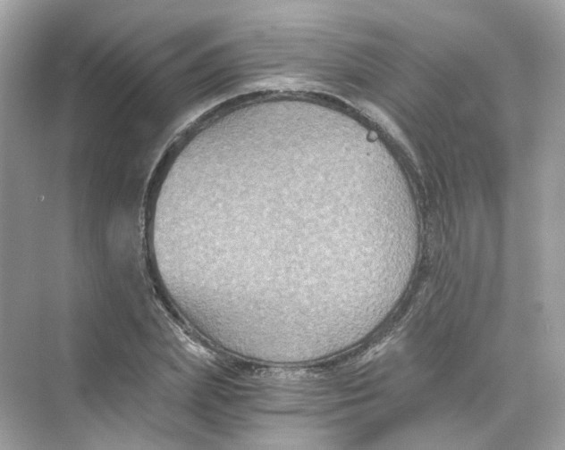 X0000069810831200606091833