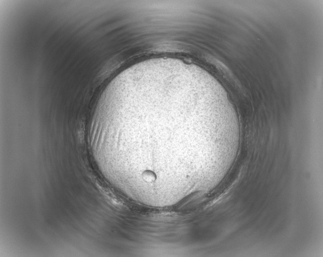 X0000069810833200606091833