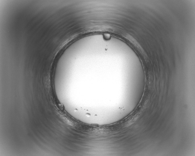 X0000069810834200606091833