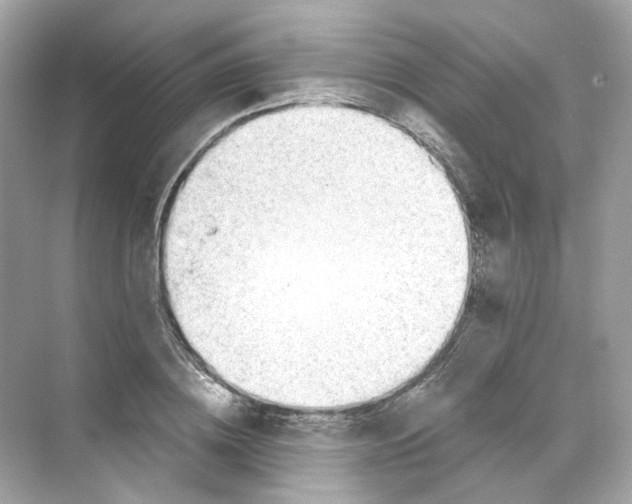 X0000069810836200606091833