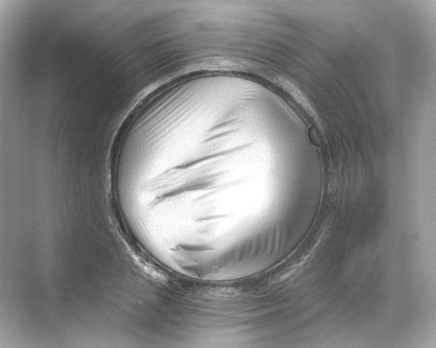 X0000069810837200606091833