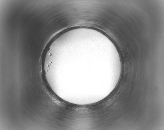 X0000069810838200606091833