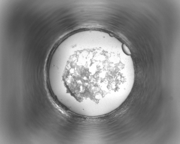 X0000069810840200606091833