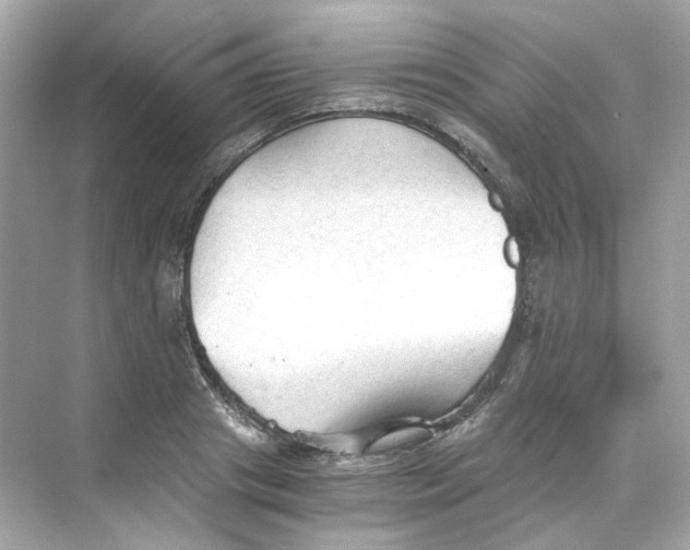 X0000069810841200606091833