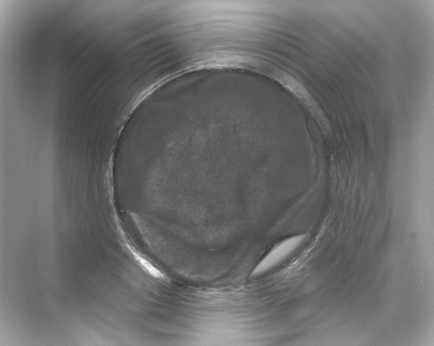 X0000069810842200606091833