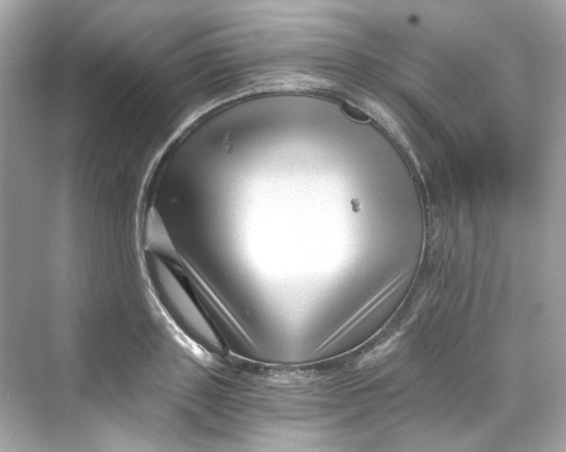 X0000069810843200606091833