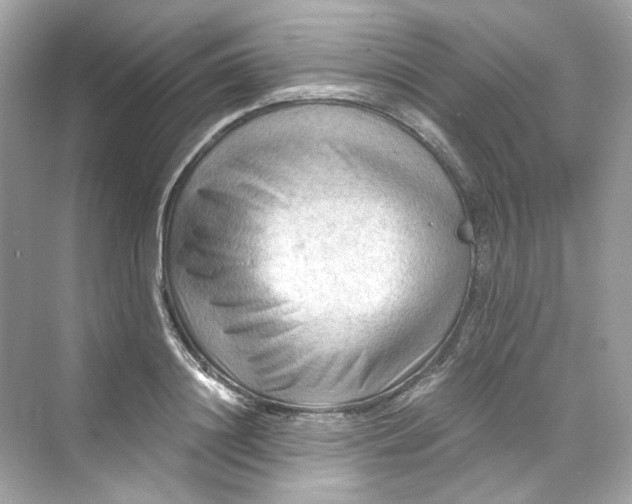 X0000069810844200606091833