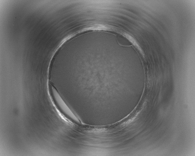 X0000069810845200606091833