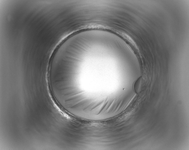 X0000069810847200606091833