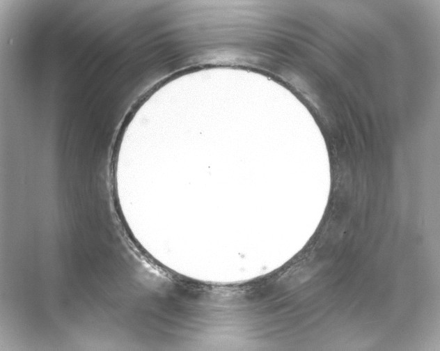 X0000069810848200606091833