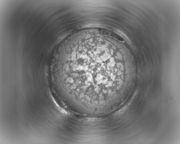 X0000069810849200606091833