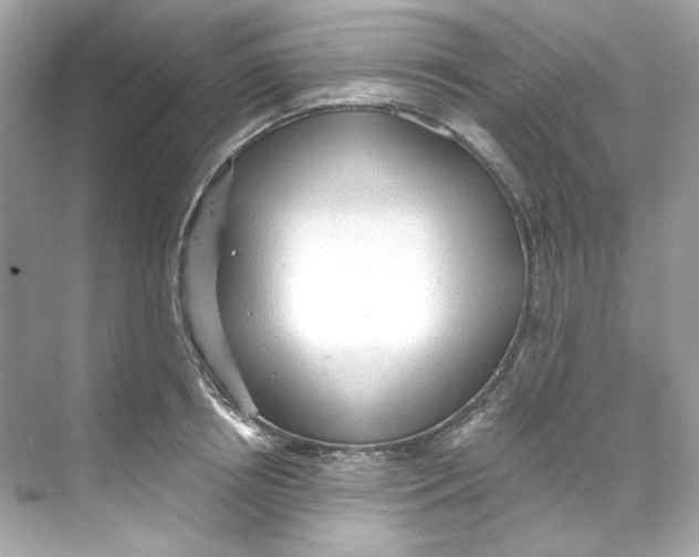 X0000069810850200606091833