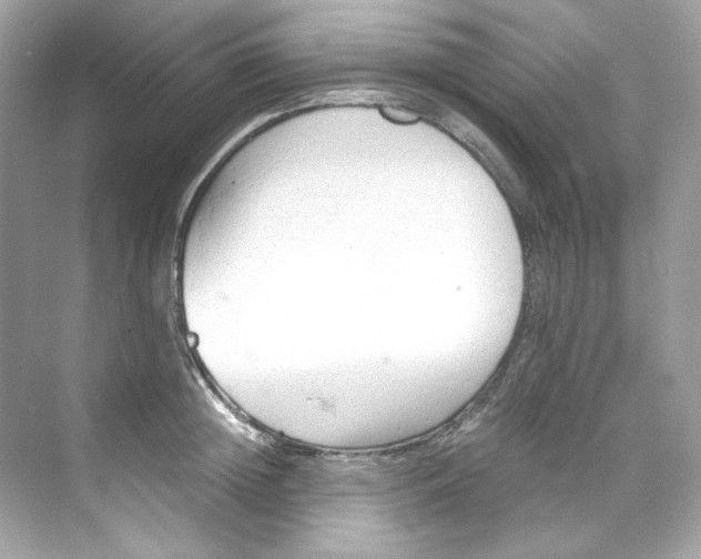 X0000069810852200606091833