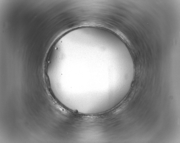 X0000069810854200606091833