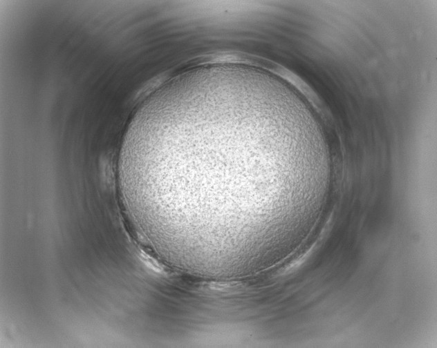 X0000069810857200606091833