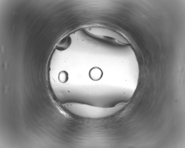 X0000069810858200606091833