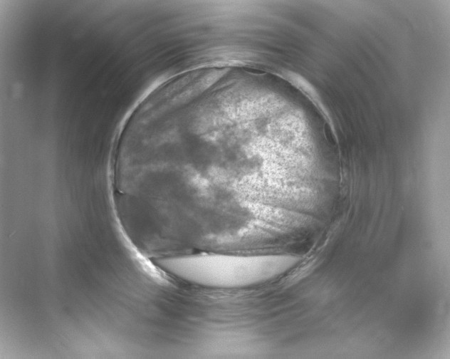 X0000069810859200606091833