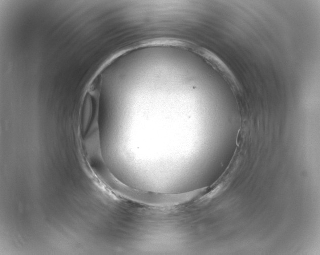 X0000069810860200606091833