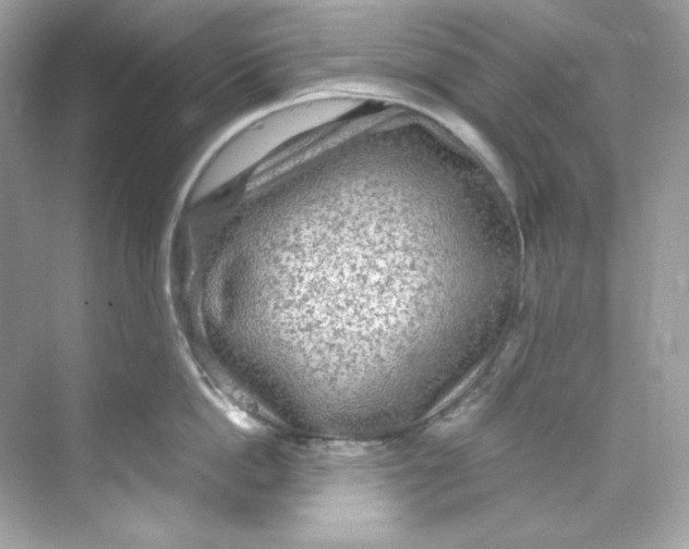 X0000069810862200606091833