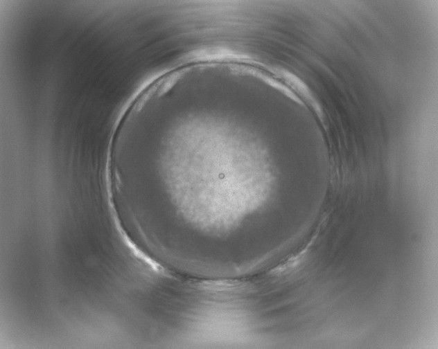 X0000069810863200606091833