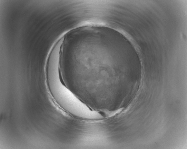 X0000069810864200606091833