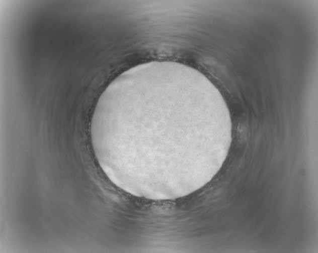 X0000069810865200606091832