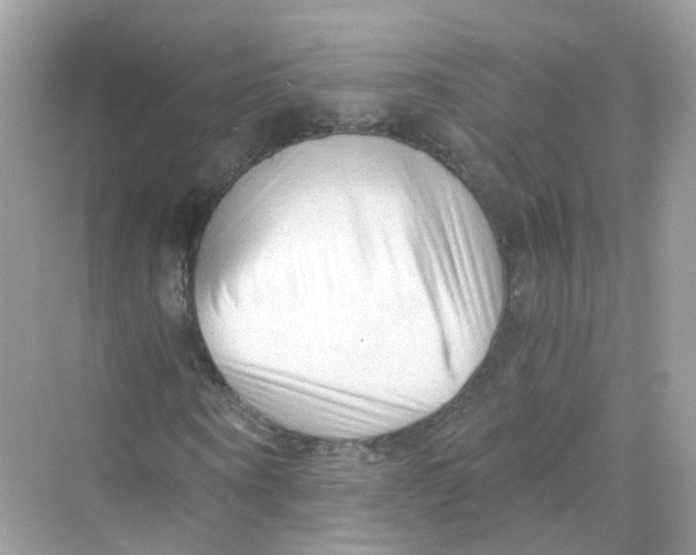 X0000069810866200606091832