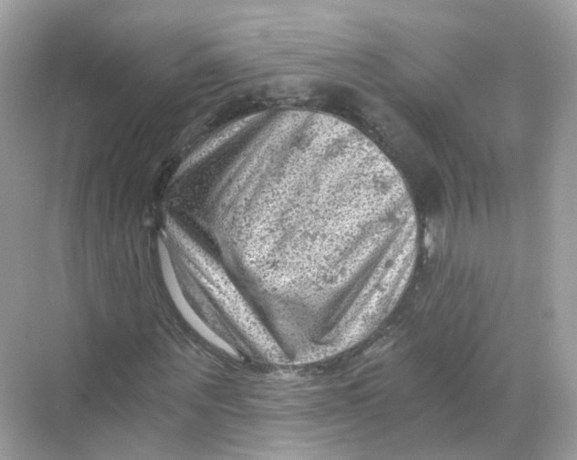 X0000069810867200606091832