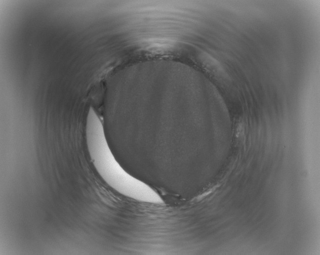 X0000069810868200606091832