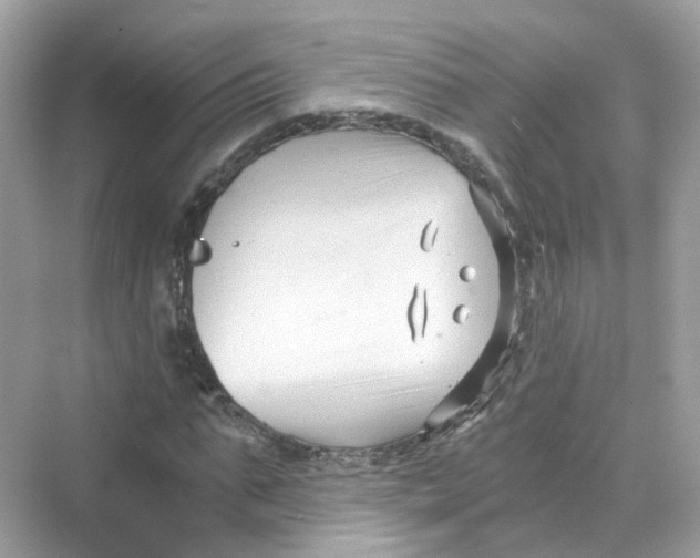 X0000069810871200606091832