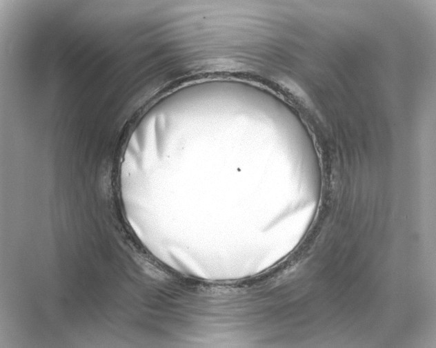 X0000069810873200606091832