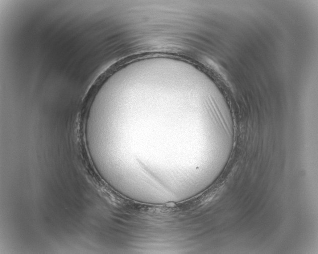 X0000069810875200606091832