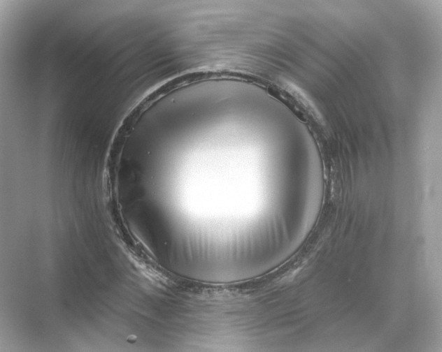 X0000069810876200606091832