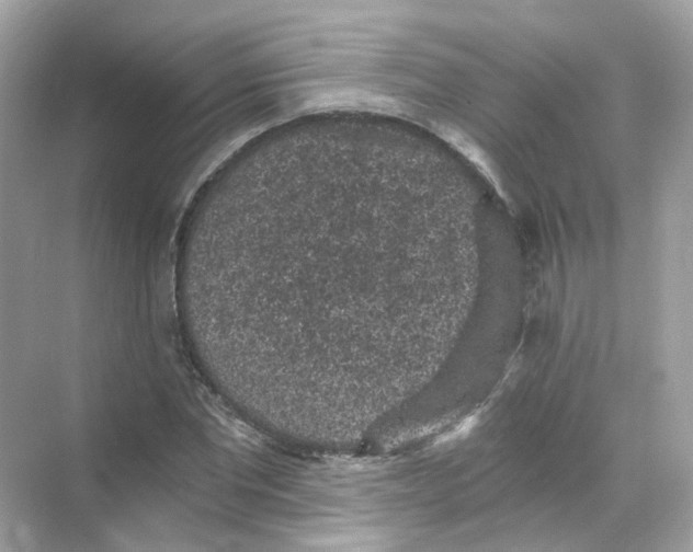 X0000069810877200606091832