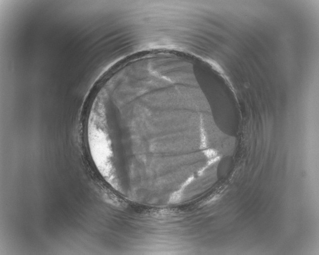 X0000069810879200606091832