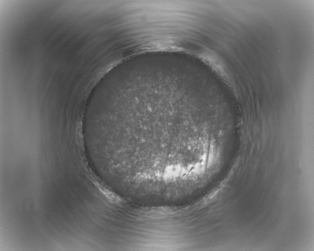 X0000069810881200606091832