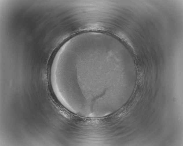 X0000069810882200606091832