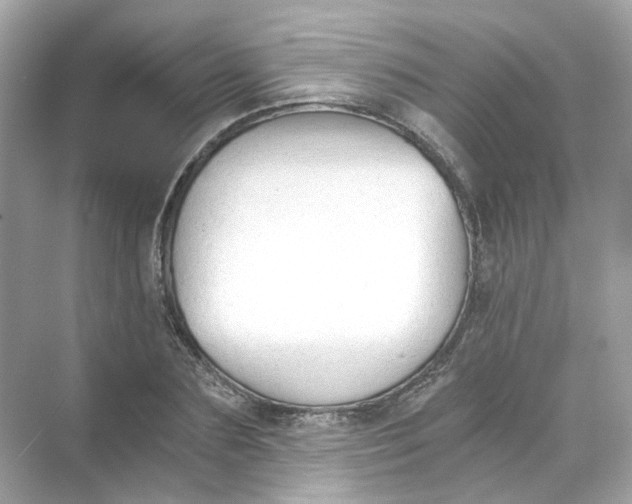 X0000069810883200606091832