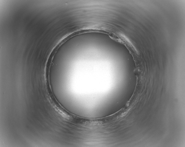 X0000069810884200606091832