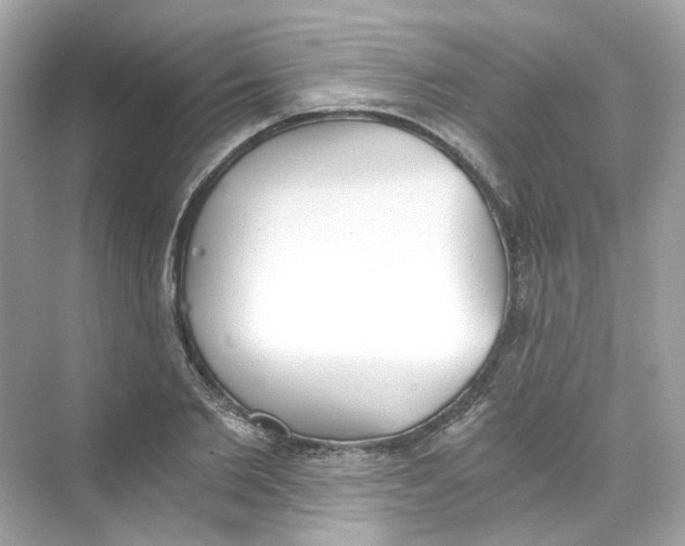 X0000069810885200606091832