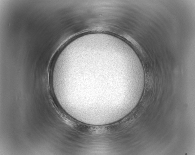 X0000069810886200606091832