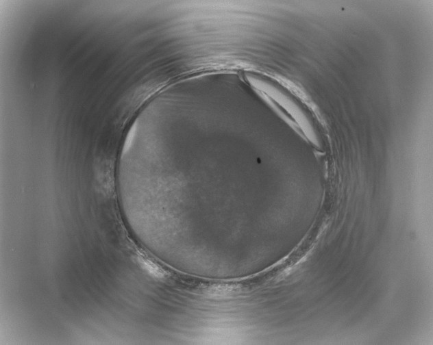 X0000069810889200606091832