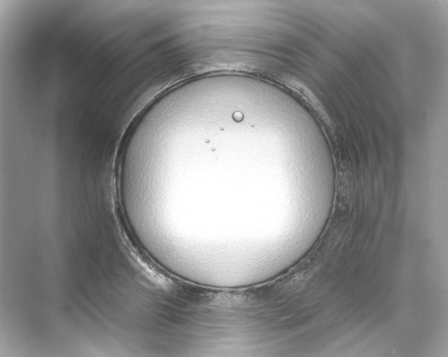 X0000069810890200606091832