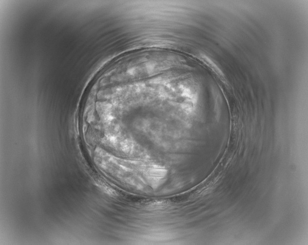 X0000069810891200606091832