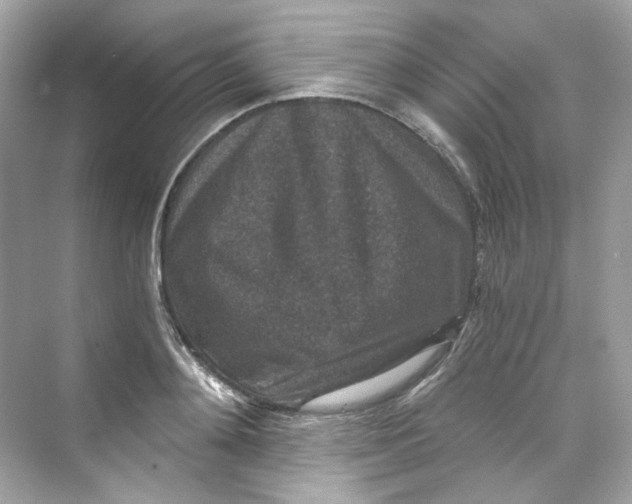 X0000069810892200606091832