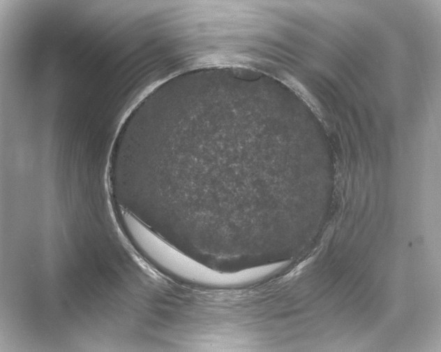 X0000069810893200606091832