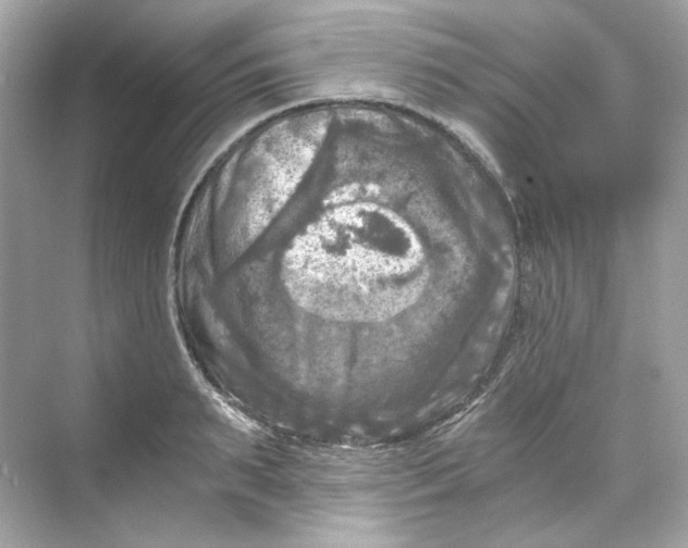 X0000069810895200606091832